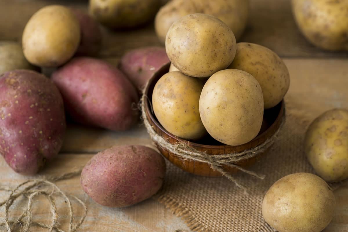 La pomme de terre tout ce qu'il faut savoir