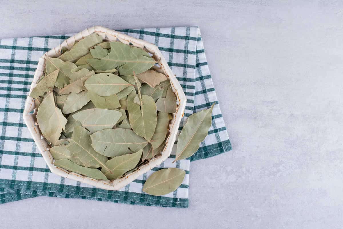 Pourquoi faire brûler des feuilles de laurier dans la maison