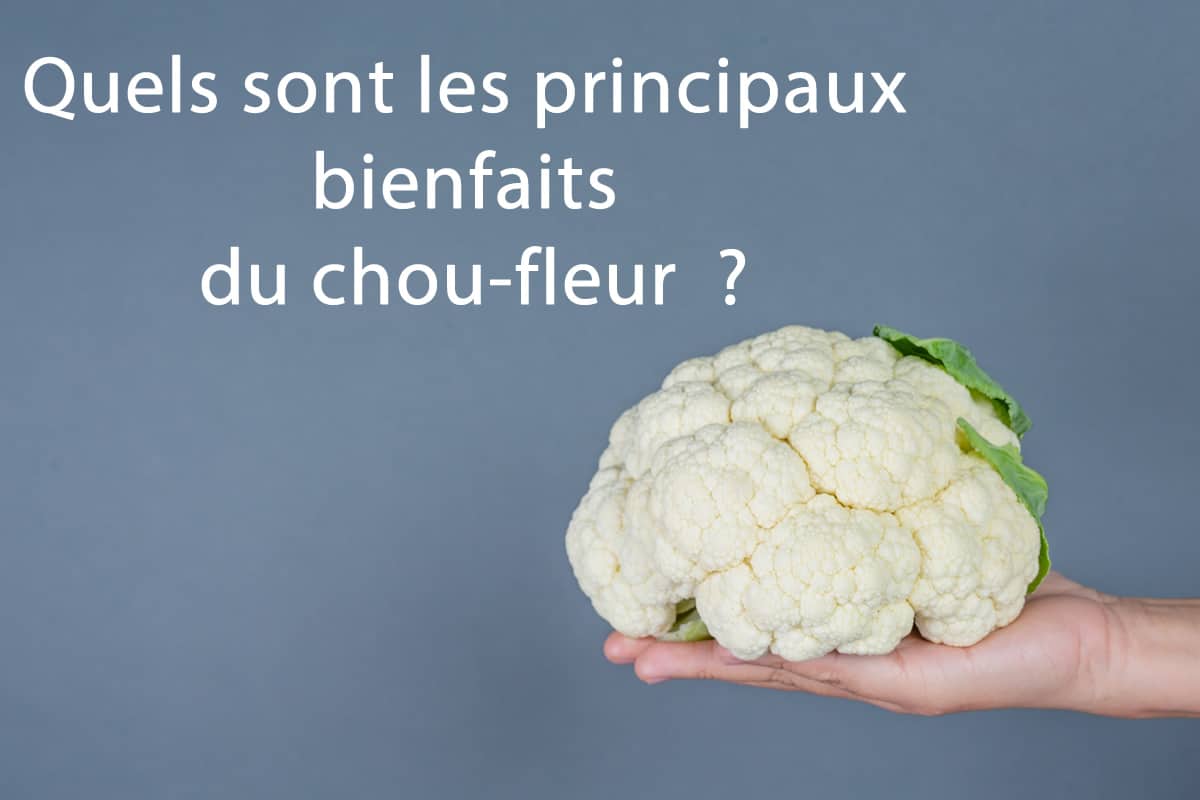Quels sont les bienfaits du chou-fleur