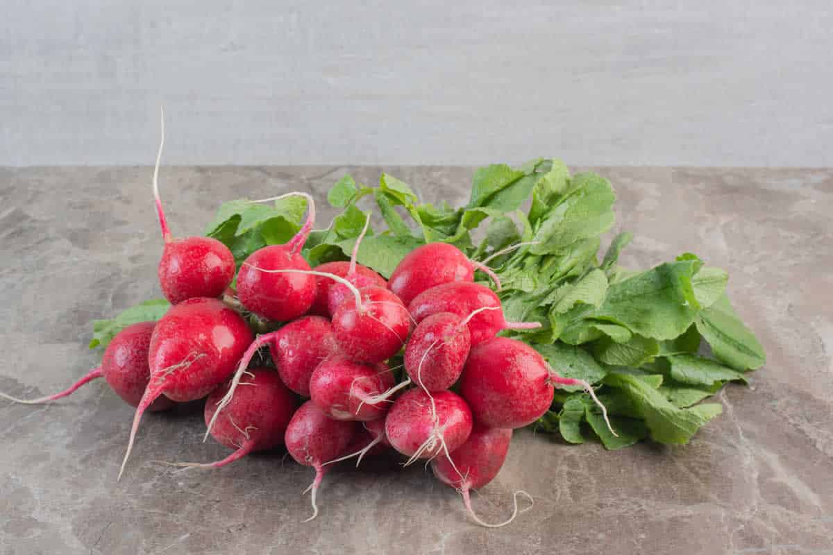 Les 10 bienfaits du radis rouge