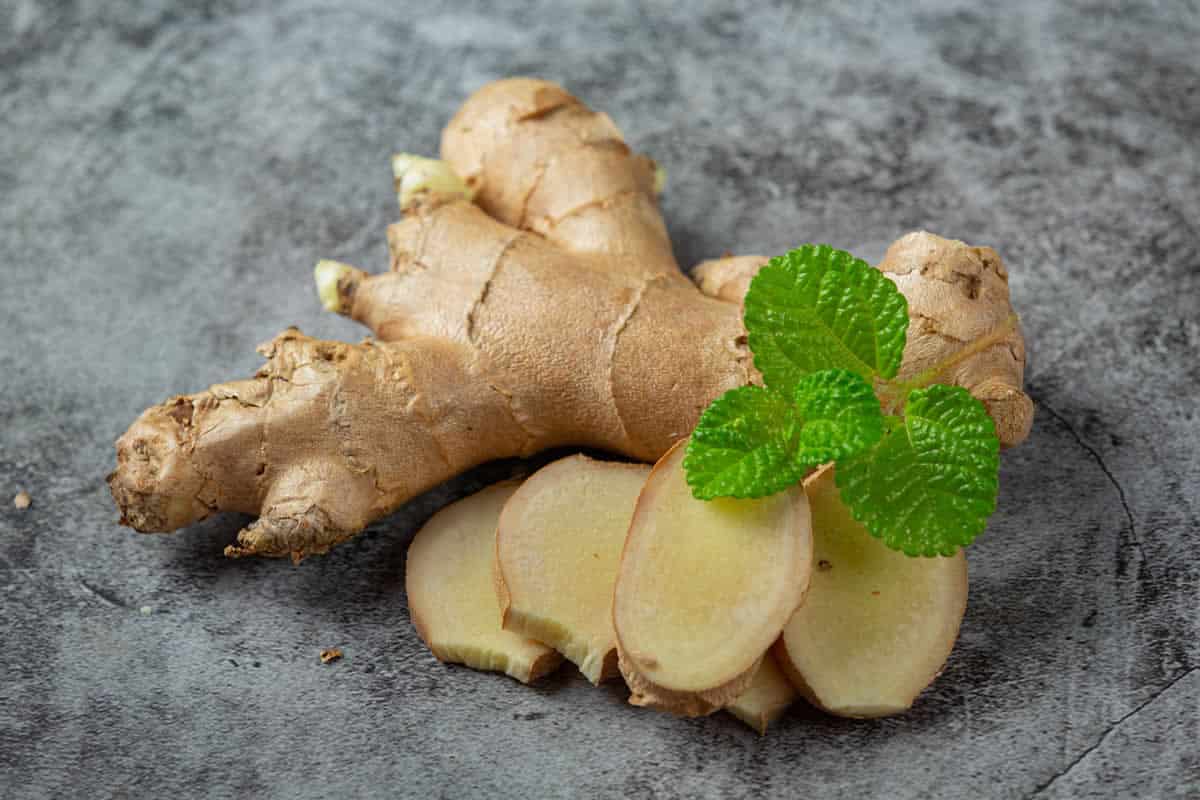 Les bienfaits du Gingembre