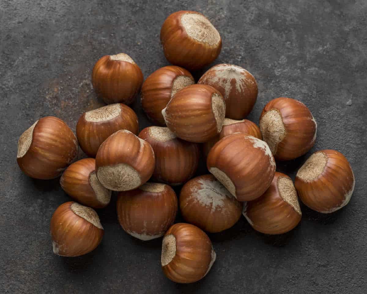 Comment distinguer les marrons des châtaignes
