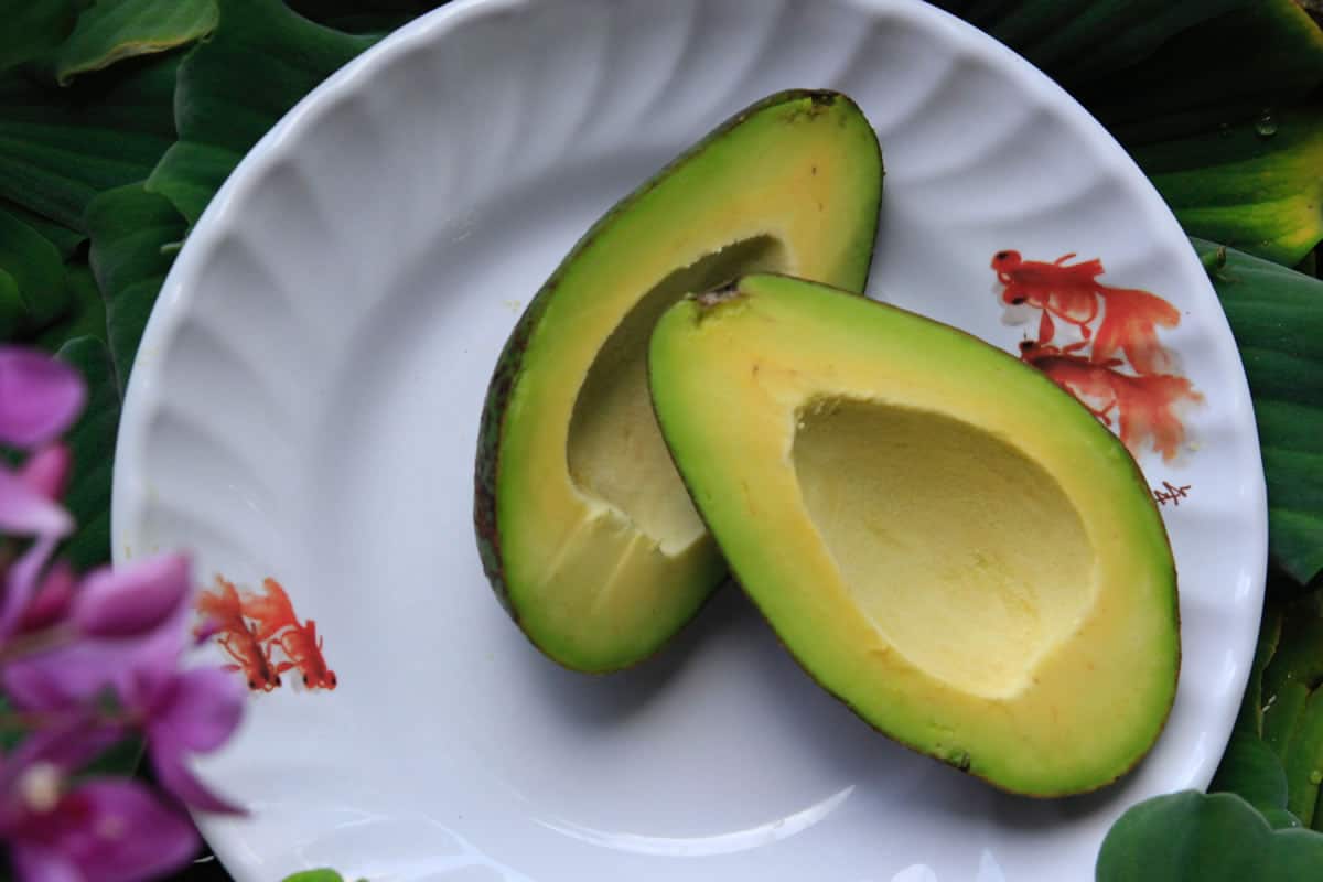 Avocat