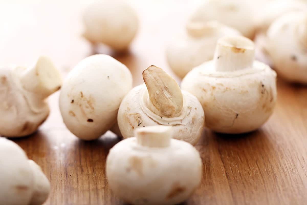 Champignons