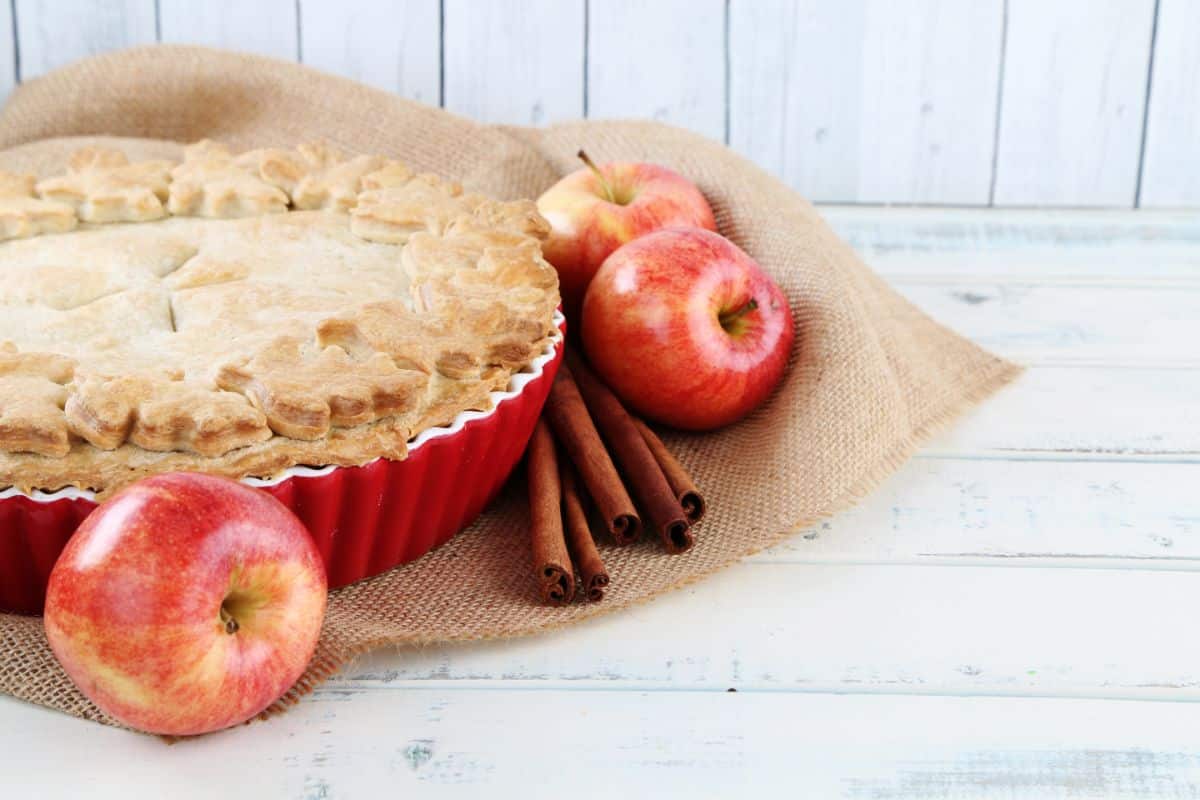 gâteau aux pommes moelleux et fondant