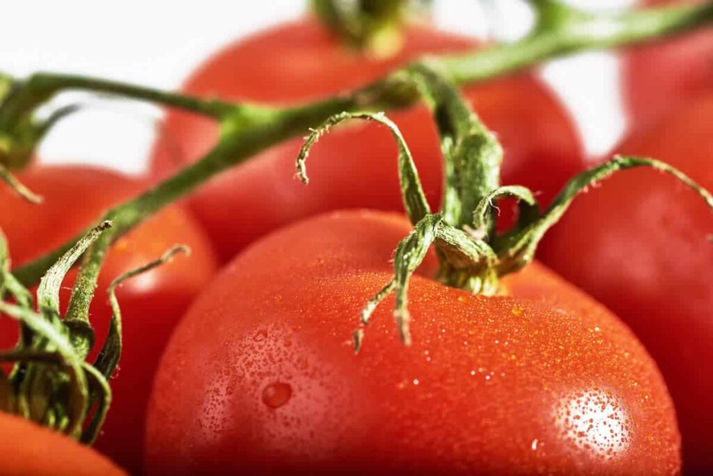 Quels sont les bienfaits de la tomate