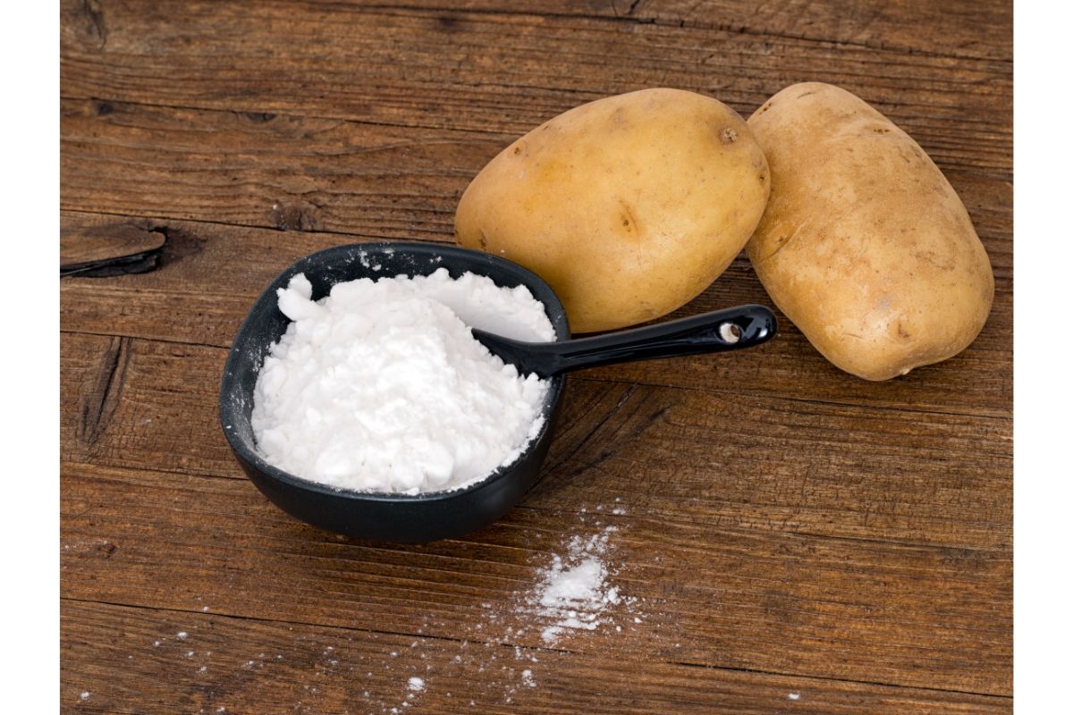 Fécule de pomme de terre