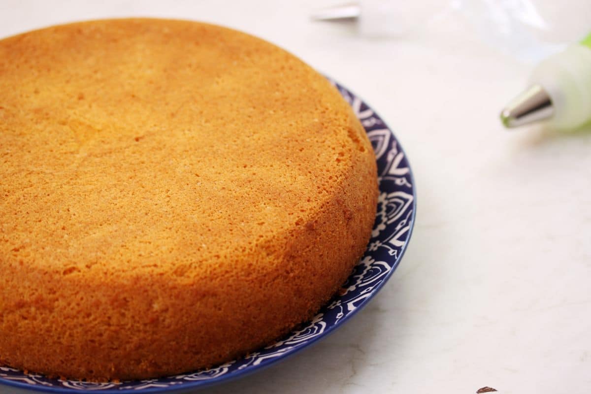 Molly Cake thermomix