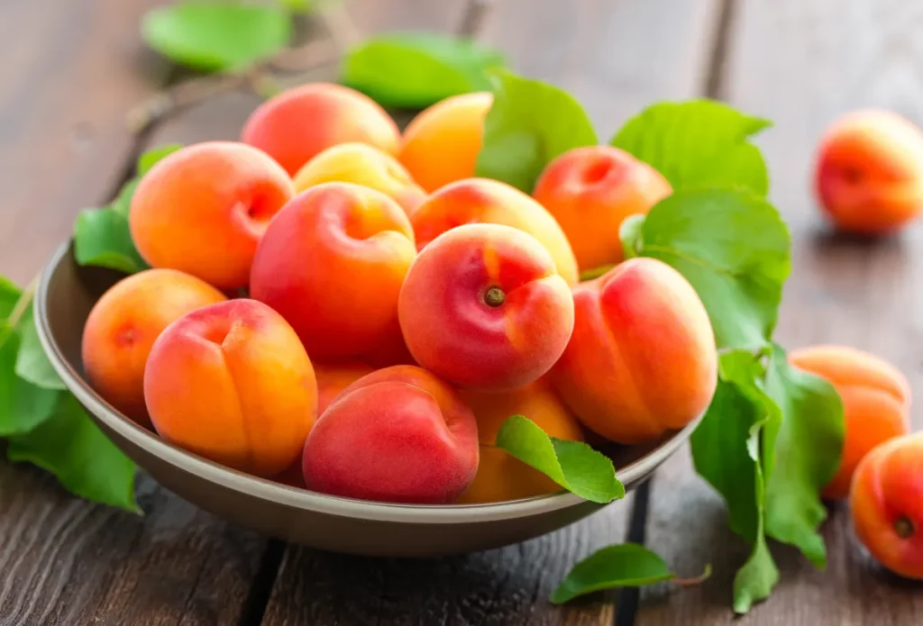 Tout savoir sur les abricots